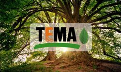 TEMA Vakfı’ndan Bitlis için gönüllü il temsilcisi çağrısı