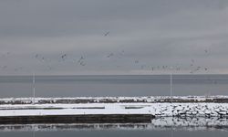 Ahlat sahilinde karla gelen kış güzelliği