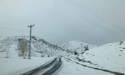 Bitlis’te kar hayatı felç etti: 5 köy yolu kapandı