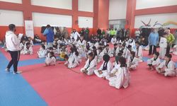 Tatvan’da taekwondo kuşak töreni düzenlendi