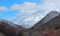 Hizan’da zirveler kış, etekler baharı yaşıyor