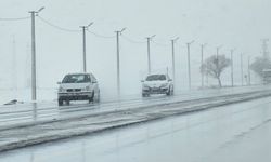 Tatvan’da kar yağışı hayatı olumsuz etkiledi