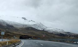 Adilcevaz’ın yüksek kesimlerinde kar yağışı etkili oldu