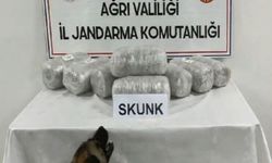 Ağrı'da 10 kilogram skunk ele geçirildi, 1 kişi tutuklandı