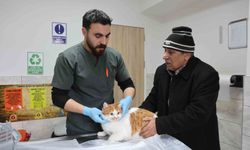 Asırlık fakülte hastanesinde 9 bin 600 hayvan sağlığına kavuştu