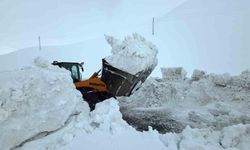 Bahçesaray yolu 3 ay sonra yeniden açılıyor