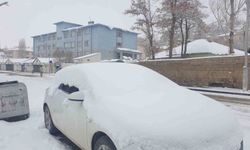 Başkale'de kar yağışı devam ediyor