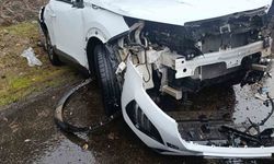 Bingöl'de trafik kazasında 4 kişi yaralandı