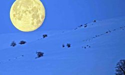 Bitlis'te karlı dağlarla bütünleşen ay manzarası hayran bıraktı