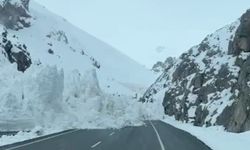 Çığ felaketi Van-Hakkari karayolunu vurdu