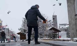 Doğu'da kar yağışı etkisini sürdürüyor