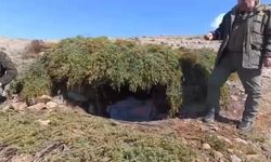 Elazığ'da kaçak meterisler yok edildi