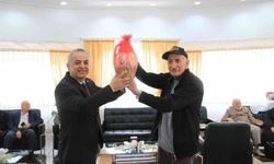 Elazığ'da tavla ve bocce etkinliği düzenlendi