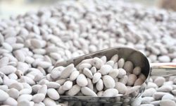 Elazığ'ın 'Beyaz altını' badem şekeri yoğun talep görüyor
