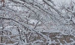 Erciş'te mart ayında kar yağışı etkili oldu