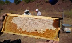 Erzincan Geven Balı coğrafi işaretle taçlandı