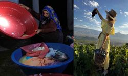 Erzincan Tulum Peyniri ve Cimin Üzümü uluslararası tescil aldı
