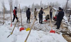Hakkari Durankaya'da ahır faciası: 5 hayvan telef