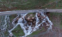 Hakkari’de doğa sürprizi: Yolun ortasında pınar ortaya çıktı