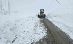 Hakkari'de kar esareti sürüyor: 61 yerleşim yerinin yolu kapalı