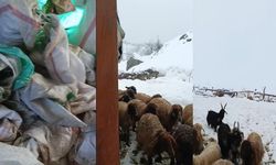 Hakkâri’de kar kalınlığı 1,5 metreyi buldu, çiftçiler zor durumda