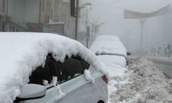 Hakkari'de karın ardından yoğun sis etkisini artırdı