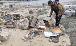 Hakkari’de sel felaketi arıcılığı vurdu: 150 kovan zarar gördü