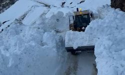 Hizan’da korkutan çığ: Köy yolu kapanınca ekipler harekete geçti