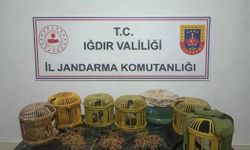 Iğdır'da kaçak keklik avcılarına 175 bin TL ceza kesildi