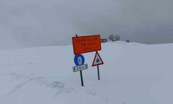 Kar ve tipi nedeniyle Hasköy-Mutki yolu kapatıldı