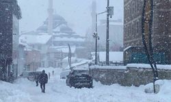 Karlıova'da kar yağışı yeniden etkisini gösterdi