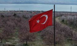 Kayısı bahçeleri beyaza büründü, ortaya kartpostallık görüntüler çıktı