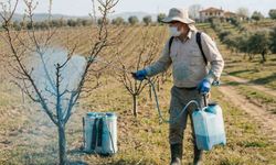 Meyve üreticilerine bordo bulamacı uyarısı yapıldı