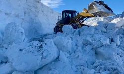 Muş'ta mahsur kalan vatandaşlar sağ salim kurtarıldı