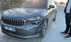 Muş’ta yola çıkan köpeğe otomobil çarptı