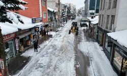 Sarıkamış'ta 600 kamyon kar şehir dışına çıkarıldı