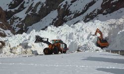 Van-Hakkari kara yolunda çığ sonrası çalışmalar devam ediyor