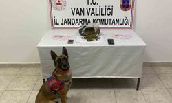 Van'da 1 kilo 64 gram skunk maddesi yakalandı