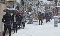 Van’da bahar umudu yerini kara bıraktı
