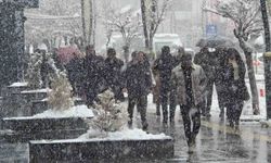 Van'da kar yağışı ve sis etkisini devam ettiriyor