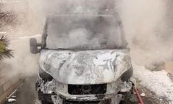 Van'da park halindeki kamyonet alevlere teslim oldu