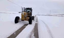 Van'da yoğun kar nedeniyle 216 yerleşim yerine ulaşım sağlanamıyor