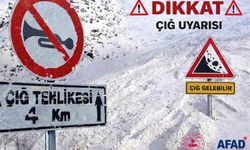 Van’ın yüksek kesimlerinde çığ tehlikesi kapıda