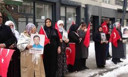 Vanlı annenin yürek burkan feryadı: 'Artık çocuklarımızı gömmeyelim, silahlarımızı gömelim'