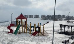 Yüksekova kışa teslim, Esendere baharı yaşıyor