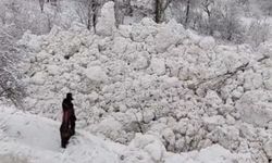 Yüksekova'da ikinci çığ meydana geldi