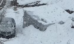 Yüksekova'da kar hayatı olumsuz etkiledi