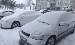 Ahlat’ta kar yağışı: 11 köy yolu ulaşıma kapandı