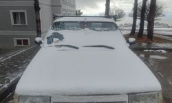 Ahlat’ta kar yağışı etkili oldu