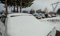 Ahlat’ta mart sürprizi: Kar yağışı yeri beyaza bürüdü